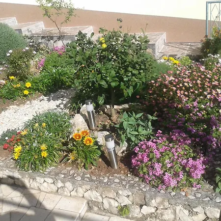 Zdenka * Rogoznica (Sibenik-Knin)